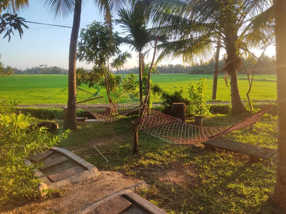 Village Mango Resort Yala Tissamaharama Bagian luar foto