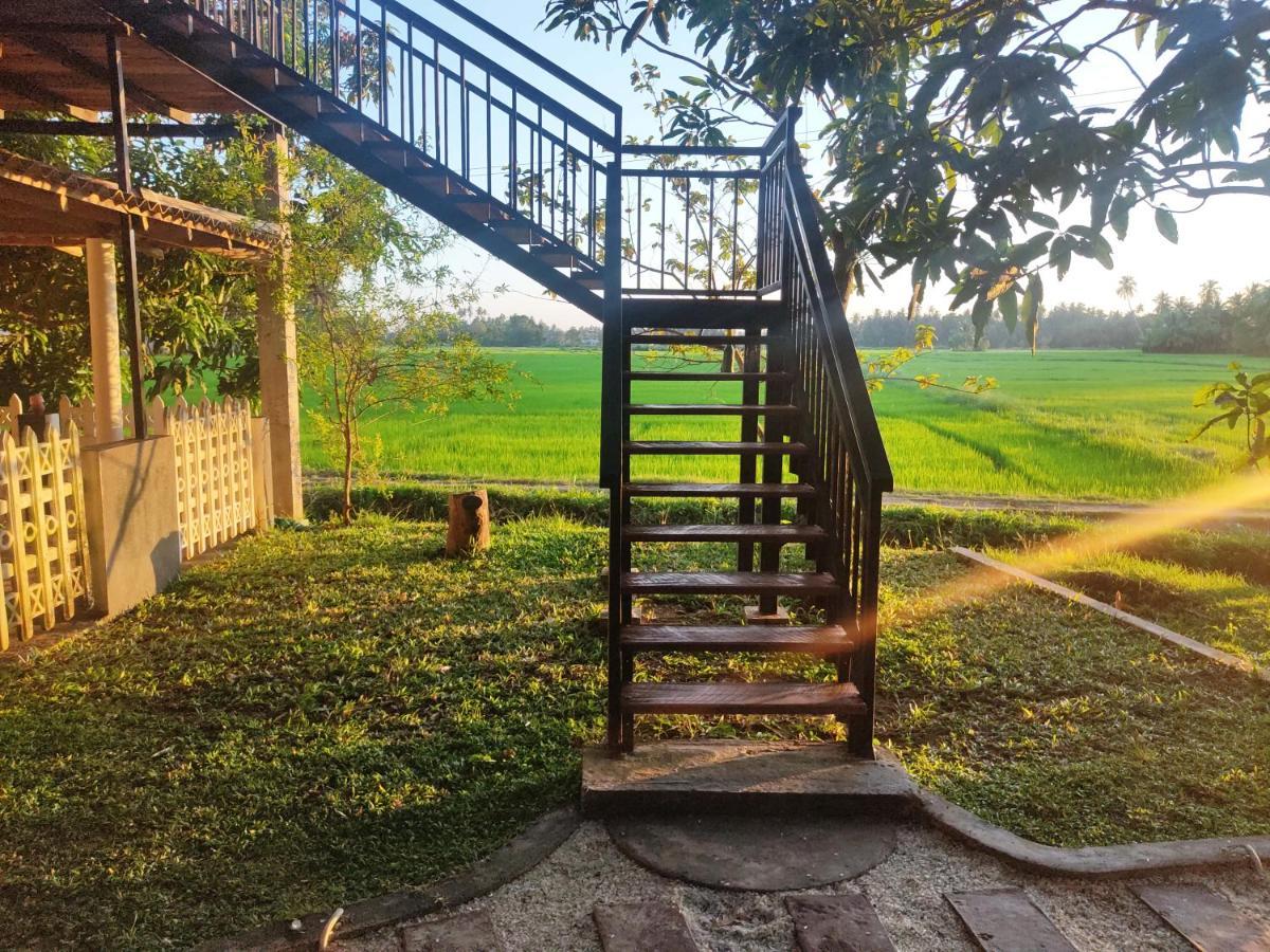 Village Mango Resort Yala Tissamaharama Bagian luar foto