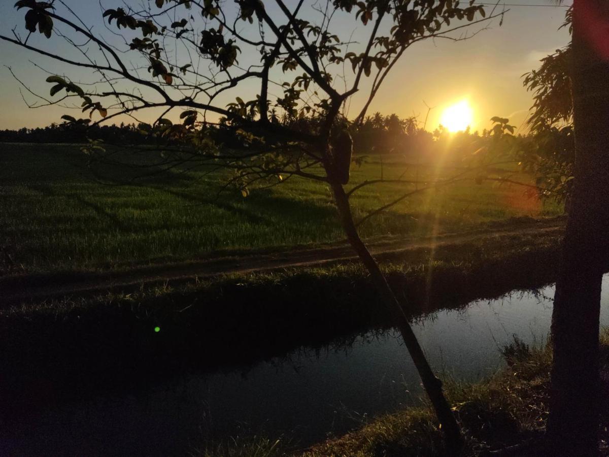 Village Mango Resort Yala Tissamaharama Bagian luar foto