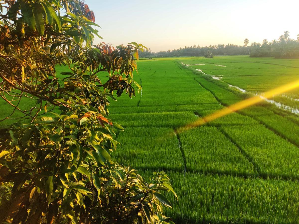 Village Mango Resort Yala Tissamaharama Bagian luar foto