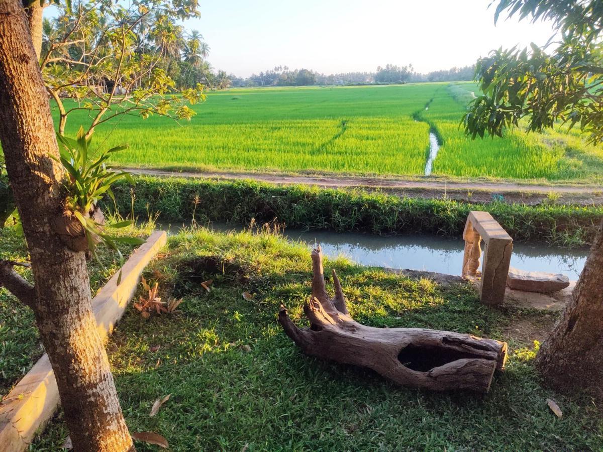 Village Mango Resort Yala Tissamaharama Bagian luar foto