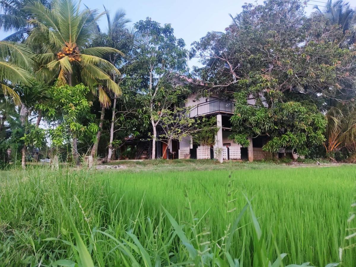 Village Mango Resort Yala Tissamaharama Bagian luar foto