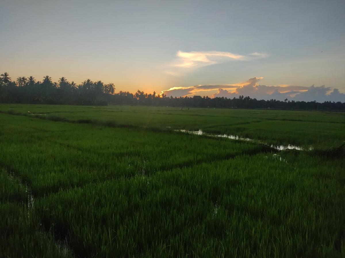 Village Mango Resort Yala Tissamaharama Bagian luar foto