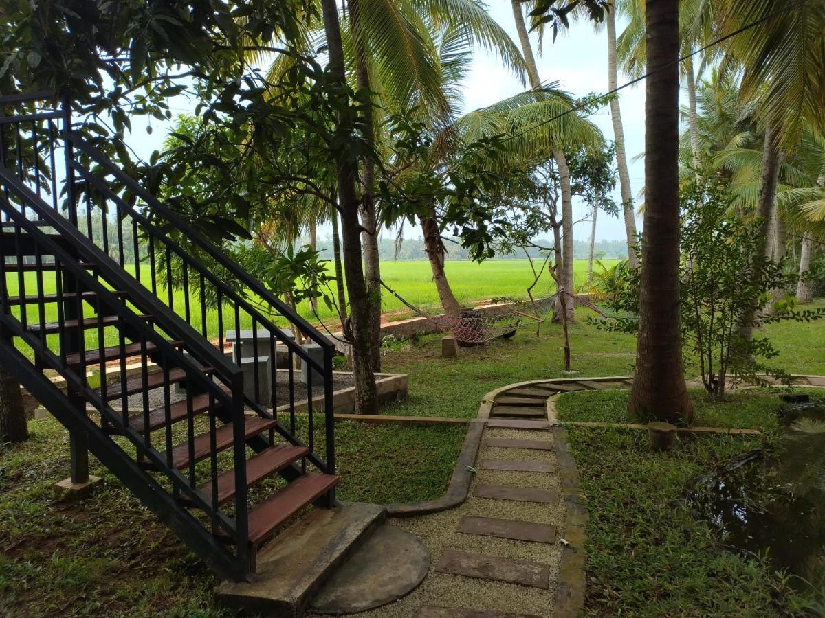 Village Mango Resort Yala Tissamaharama Bagian luar foto