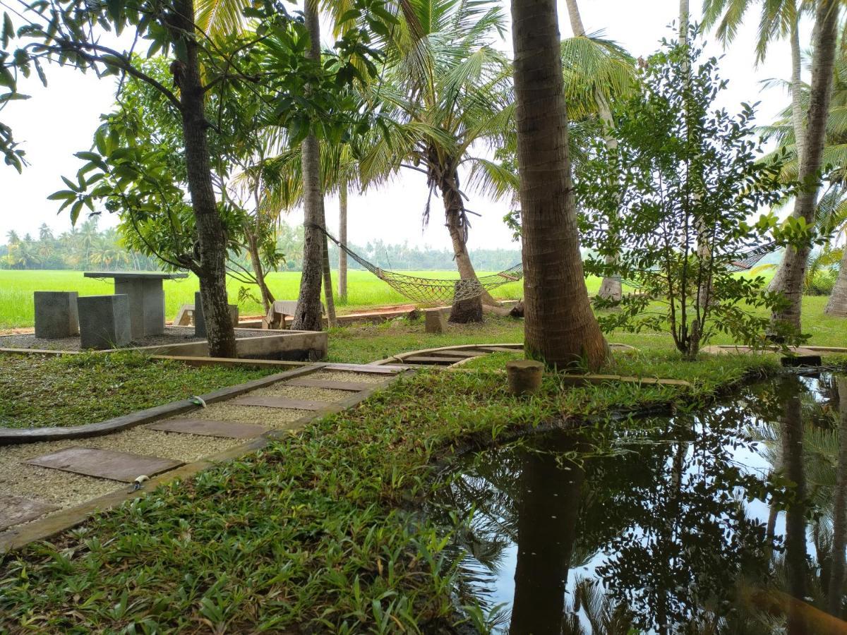 Village Mango Resort Yala Tissamaharama Bagian luar foto