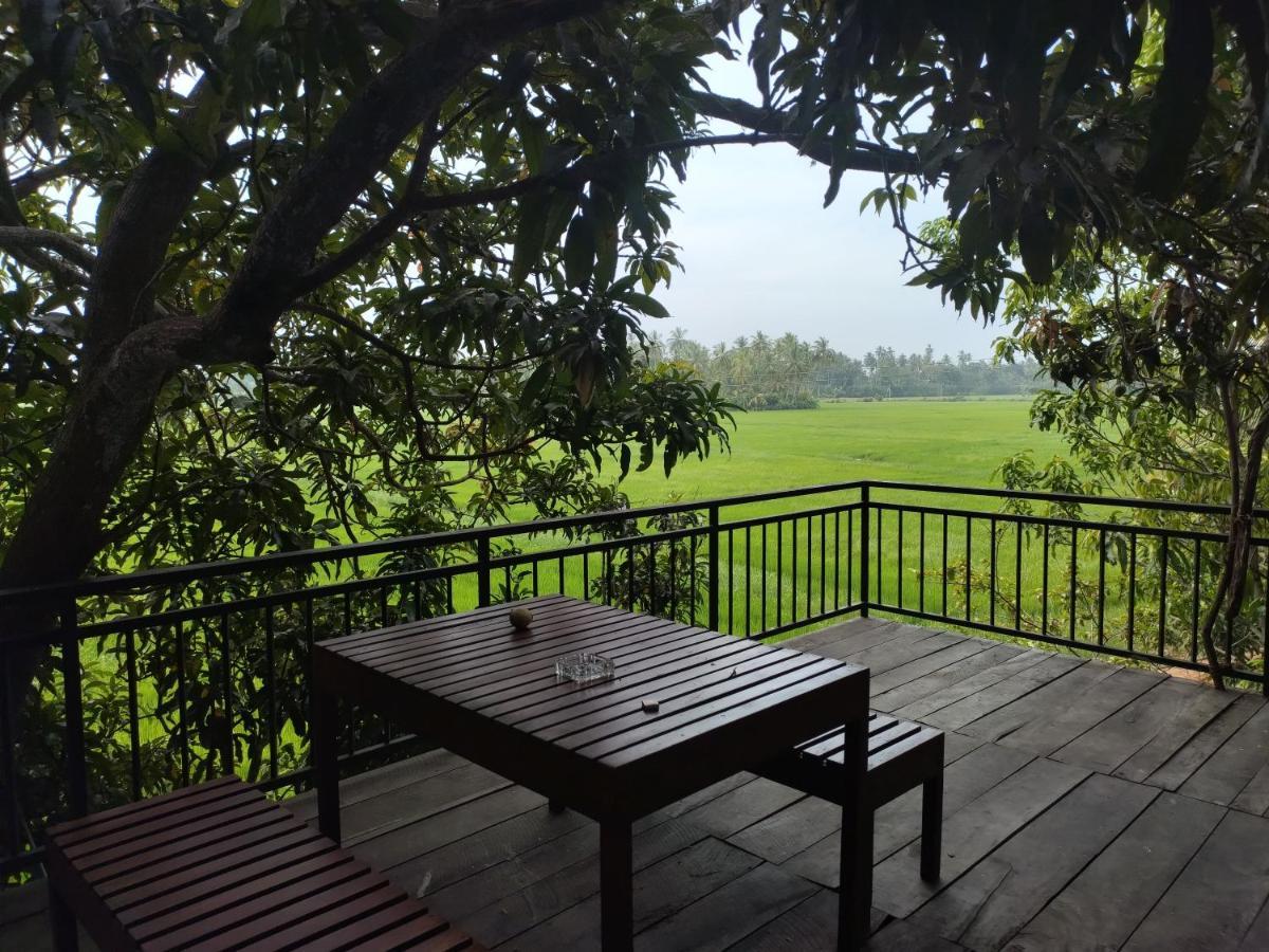 Village Mango Resort Yala Tissamaharama Bagian luar foto
