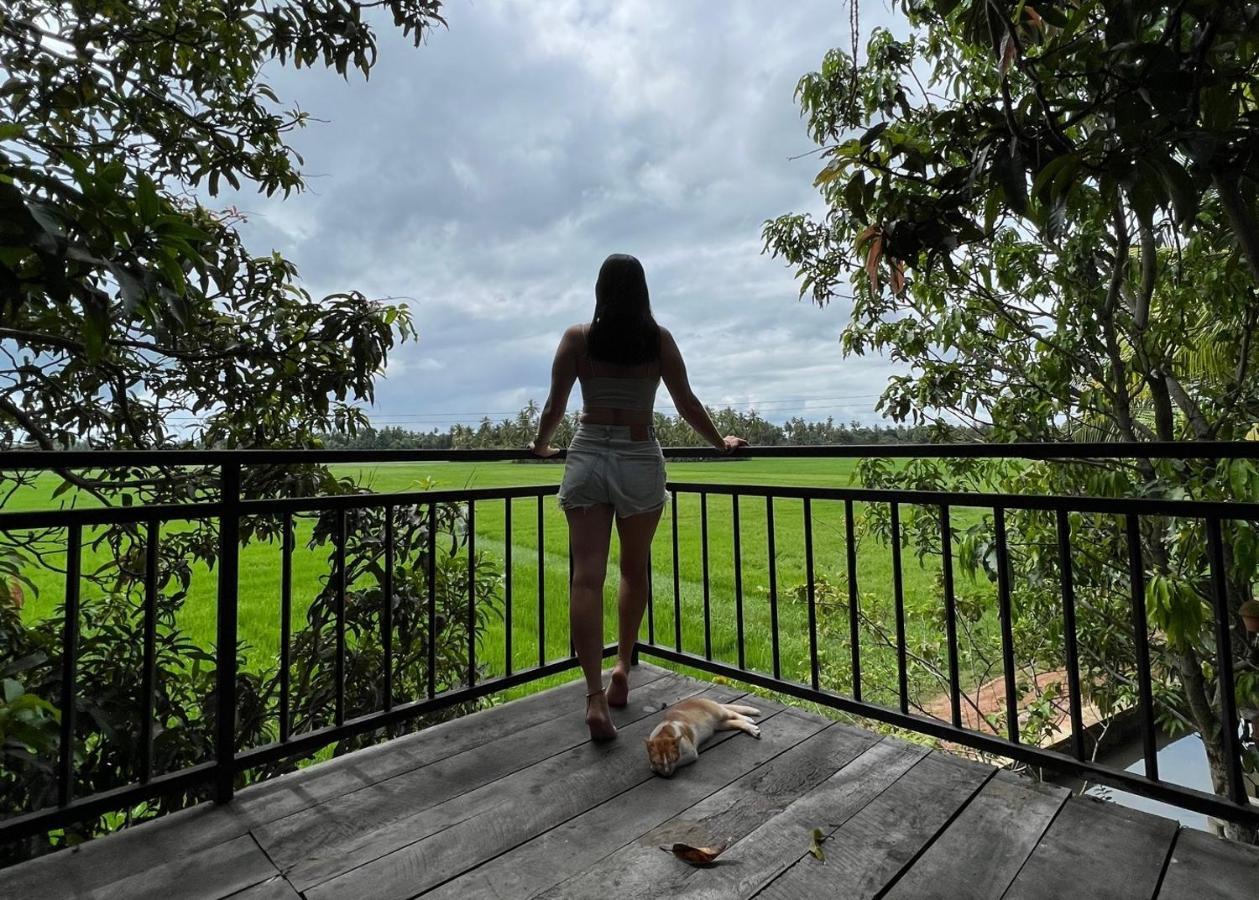 Village Mango Resort Yala Tissamaharama Bagian luar foto
