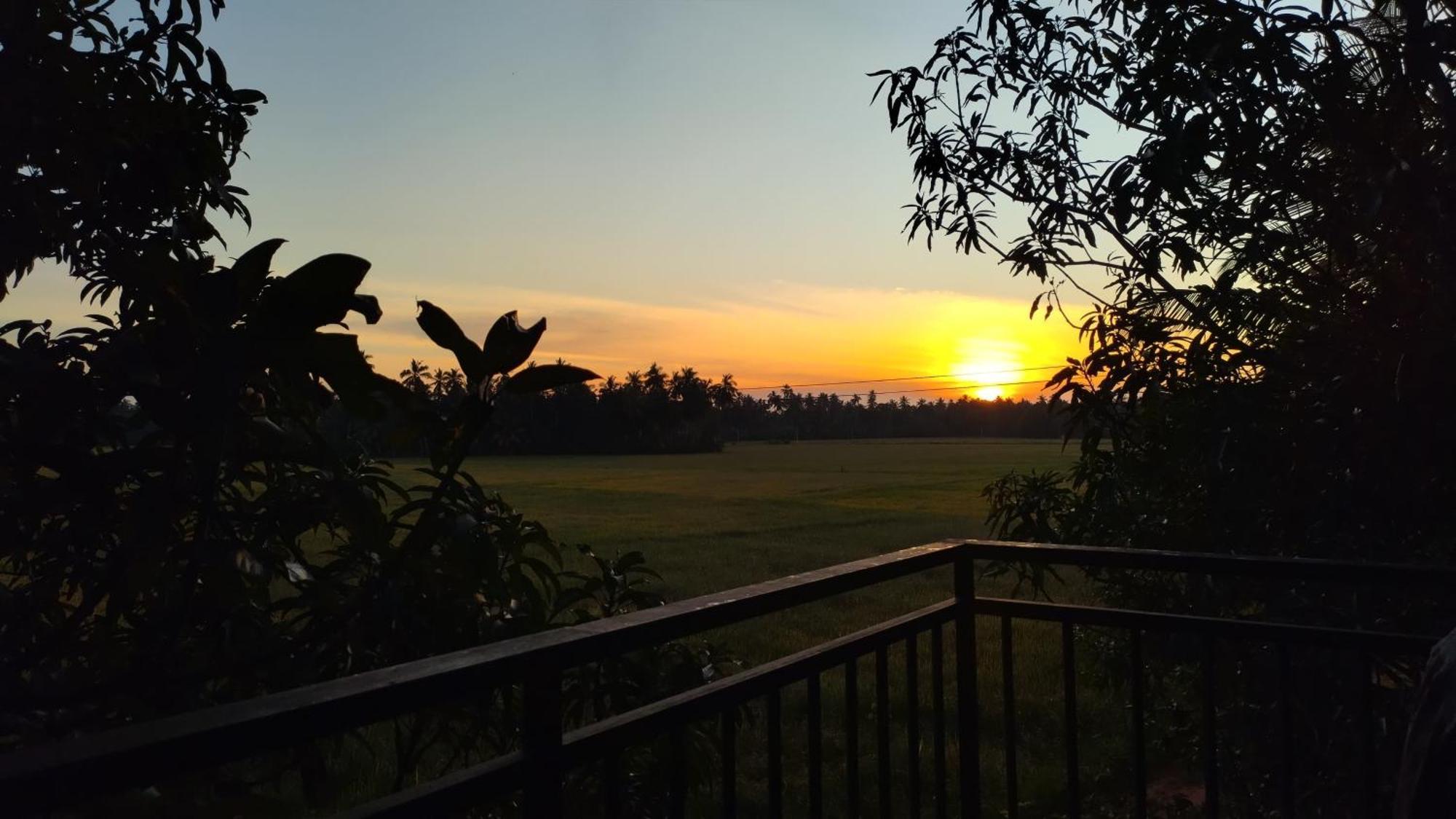 Village Mango Resort Yala Tissamaharama Bagian luar foto
